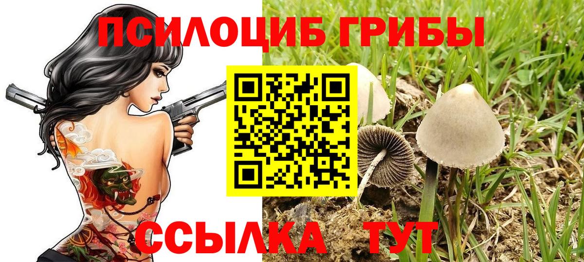 Галлюциногенные грибы GOLDEN TEACHER  Вход с VPN  Галлюциногенные грибы прущие грибы  Нарткала 