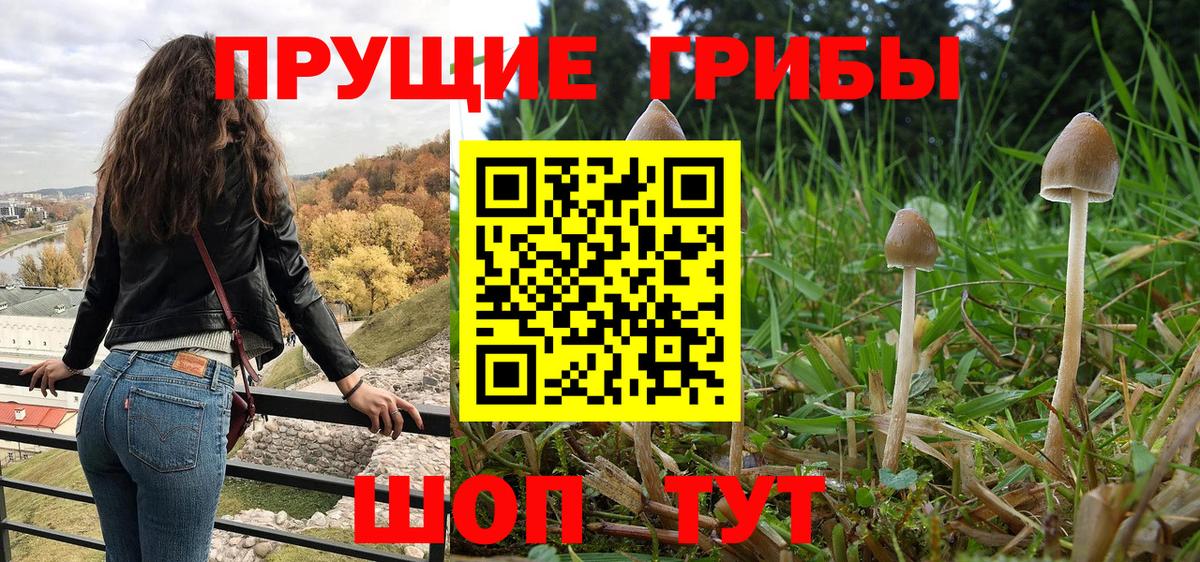 Галлюциногенные грибы ЛСД Нарткала
